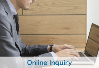 Online Inquiry